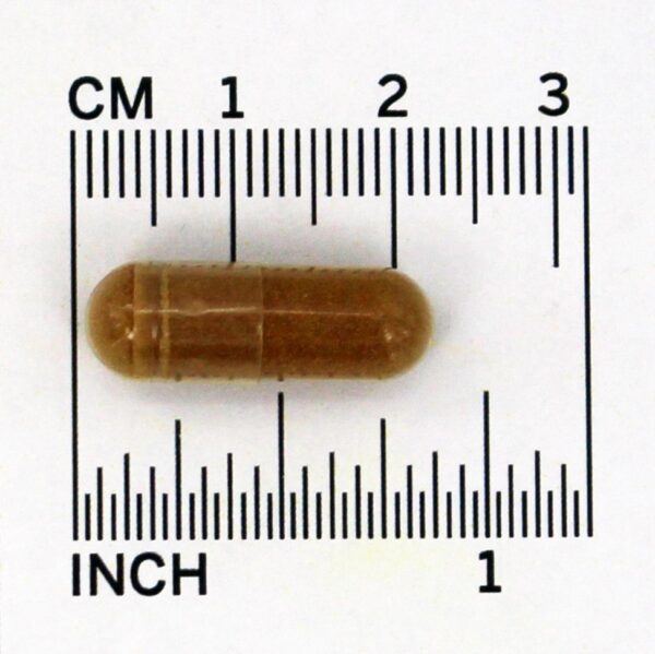 Comprar Extrato de Super Rhodiola 500 mg. - Cápsulas vegetarianas 60 Solaray - Imagem 5