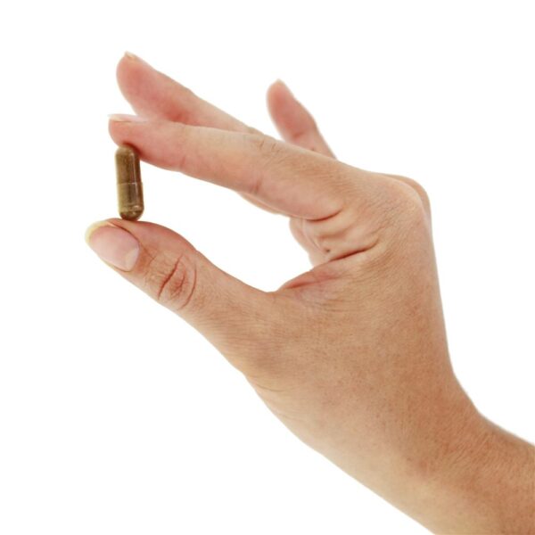 Comprar Extrato de Super Rhodiola 500 mg. - Cápsulas vegetarianas 60 Solaray - Imagem 6
