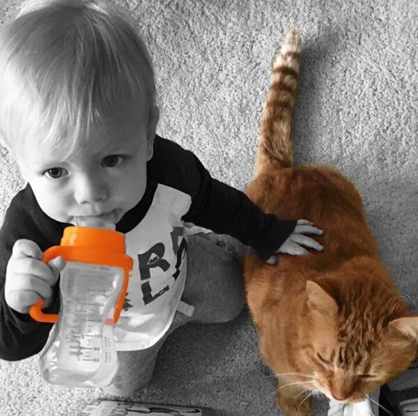 Comprar Sippy Copo Etapa C 9 Mês para 2 Anos Laranja - 9 oz. Thinkba - Imagem 6