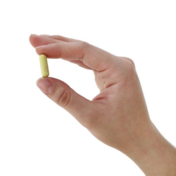 Comprar Bergamota cítrica 500 mg. - Cápsulas 60 Jarrow Formulas - Imagem 5