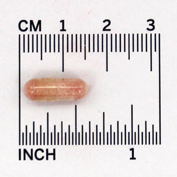 Comprar PQQ Pirroloquinolina Quinona para a Saúde Cardíaca e Cognitiva 10 mg. - Cápsulas 30 Jarrow Formulas - Imagem 4