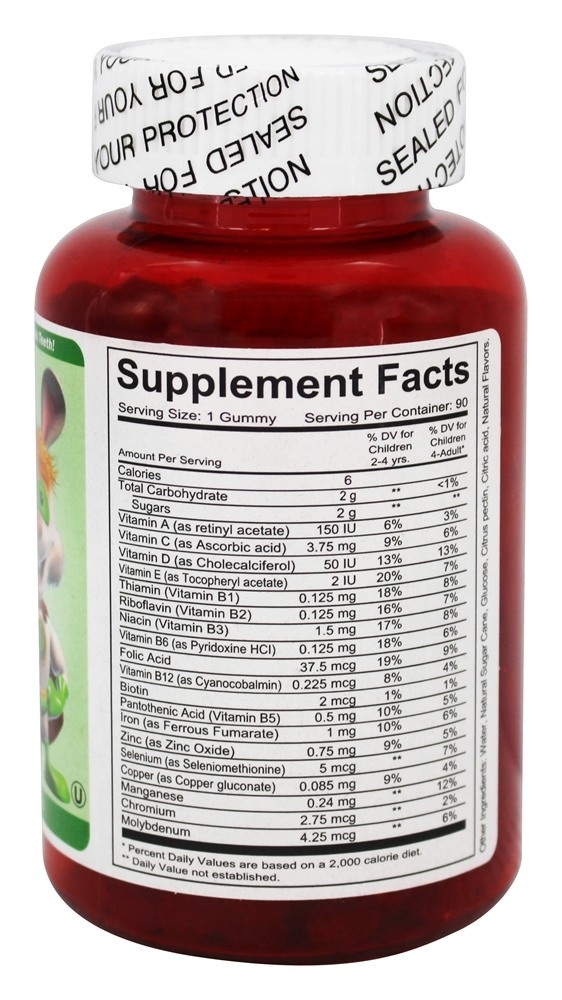 Comprar Multivitamínico Vegetariano Sem Gelatina Sabor Uva - 90 Gummies Vitamin Friends - Imagem 2