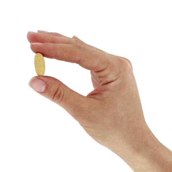Comprar Multi Para Homens 55+ - 60 comprimidos anteriormente com mais de 55 multivitamínicos MegaFood - Imagem 5