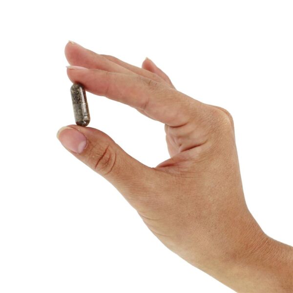 Comprar PartySmart - Cápsulas 10 Himalaya Herbal Healthcare - Imagem 4