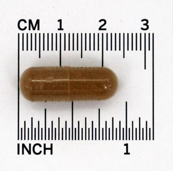 Comprar Extrato de Cogumelo Reishi - Cápsulas vegetarianas 60 Nature's Answer - Imagem 5