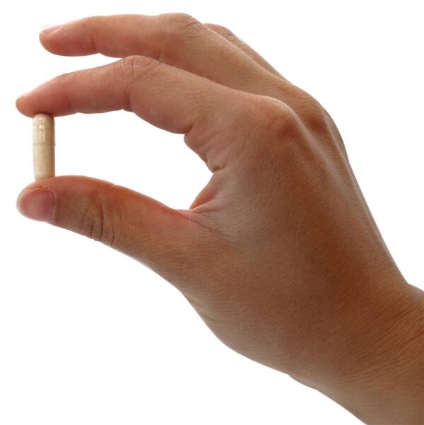 Comprar Enzimas Digestivas de Glúten-Ade com Acidófilos e Prebióticos - Cápsulas vegetarianas 60 LuckyVitamin - Imagem 4