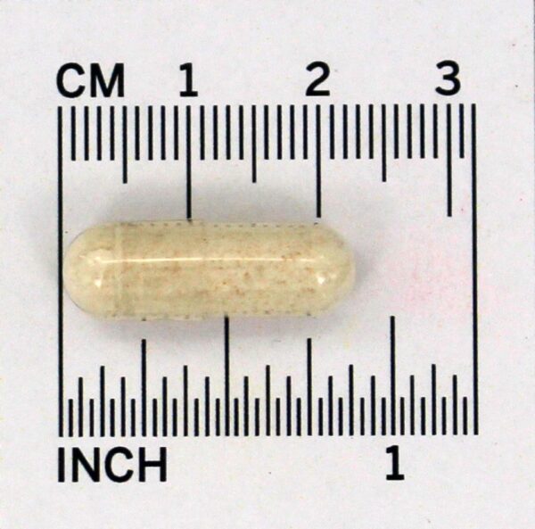Comprar Enzimas Digestivas de Glúten-Ade com Acidófilos e Prebióticos - Cápsulas vegetarianas 60 LuckyVitamin - Imagem 5