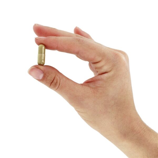 Comprar Limpeza do Cólon - Cápsulas vegetarianas 60 LuckyVitamin - Imagem 5