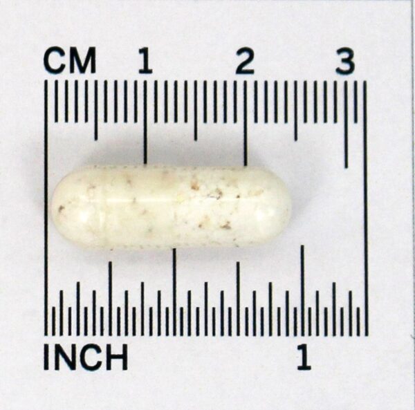 Comprar Seriphos Adaptogênico de Serina Fosforilada e Suporte Adrenal - Cápsulas 100 InterPlexus - Imagem 4
