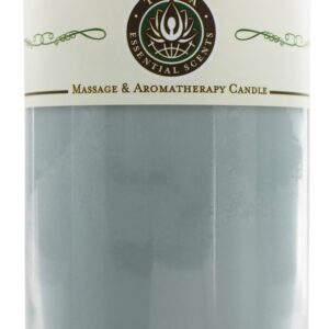 Comprar Massagem & Aromaterapia Vela de Soja Nag Champa - 12 oz. Terra Essential Scents
