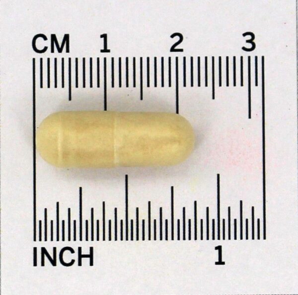 Comprar Jarro-Dophilus EPS Sistema Probiótico Aprimorado 25 Bilhões de UFC - Cápsulas 30 Jarrow Formulas - Imagem 5