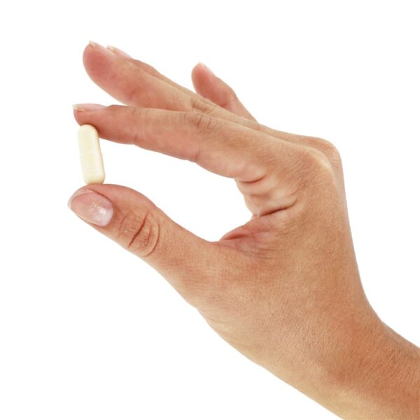 Comprar Jarro-Dophilus EPS Sistema Probiótico Aprimorado 25 Bilhões de UFC - Cápsulas 30 Jarrow Formulas - Imagem 6