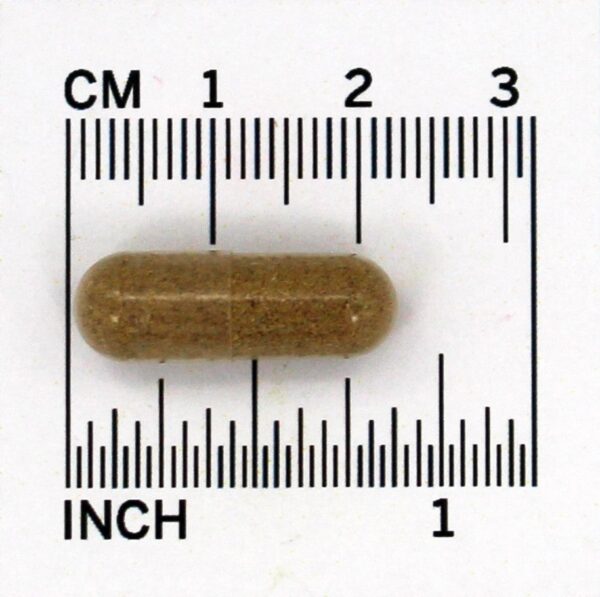 Comprar Melhoria Respiratória Natural Respiração - Cápsulas vegetarianas 90 NU Century Herbs - Imagem 4