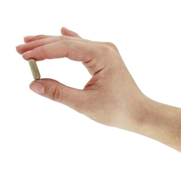 Comprar Melhoria Respiratória Natural Respiração - Cápsulas vegetarianas 90 NU Century Herbs - Imagem 5