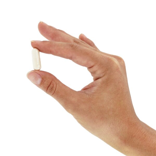 Comprar Citrato de Magnésio 400 mg. - 90 Cápsula (s) vegetal (s) Solaray - Imagem 6