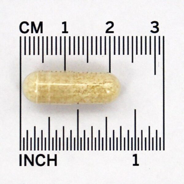 Comprar Alho cultivado organicamente 600 mg. - Cápsulas vegetarianas 100 Solaray - Imagem 4