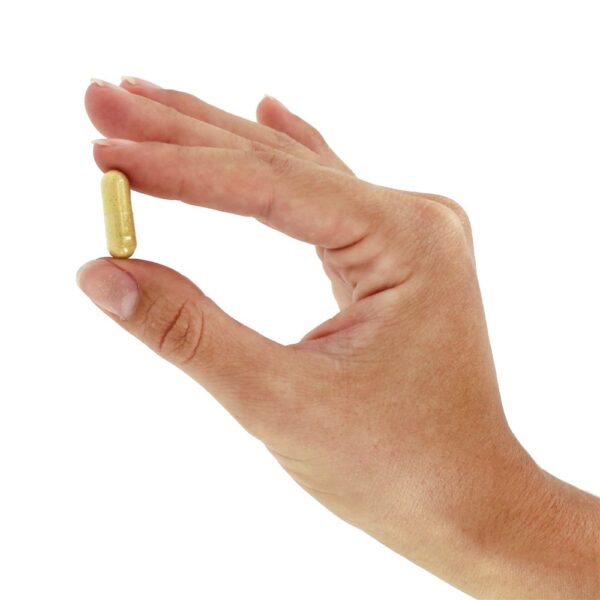 Comprar Raiz de gengibre cultivada organicamente 540 mg. - Cápsulas vegetarianas 100 Solaray - Imagem 6