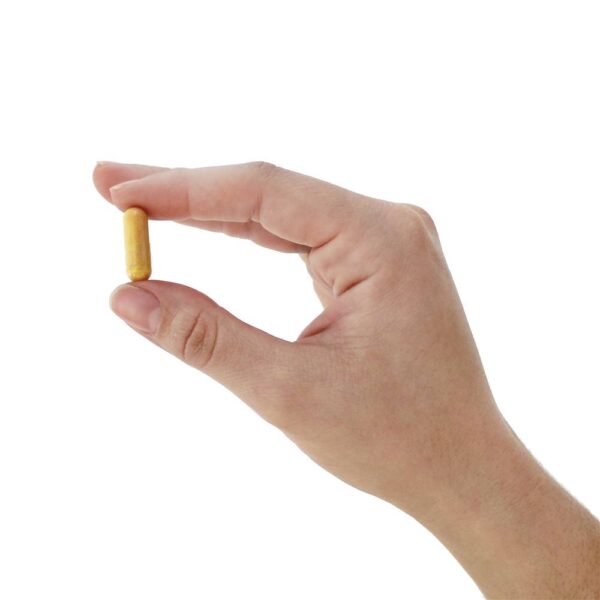 Comprar CurcuBrain Suporte Cognitivo 400 mg. - Cápsulas vegetarianas 50 NOW Foods - Imagem 5