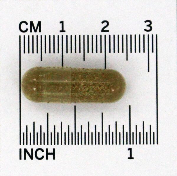 Comprar Graviola (Annona Muricata) 1500 mg. - Cápsulas vegetarianas 60 Bio Nutrition - Imagem 4