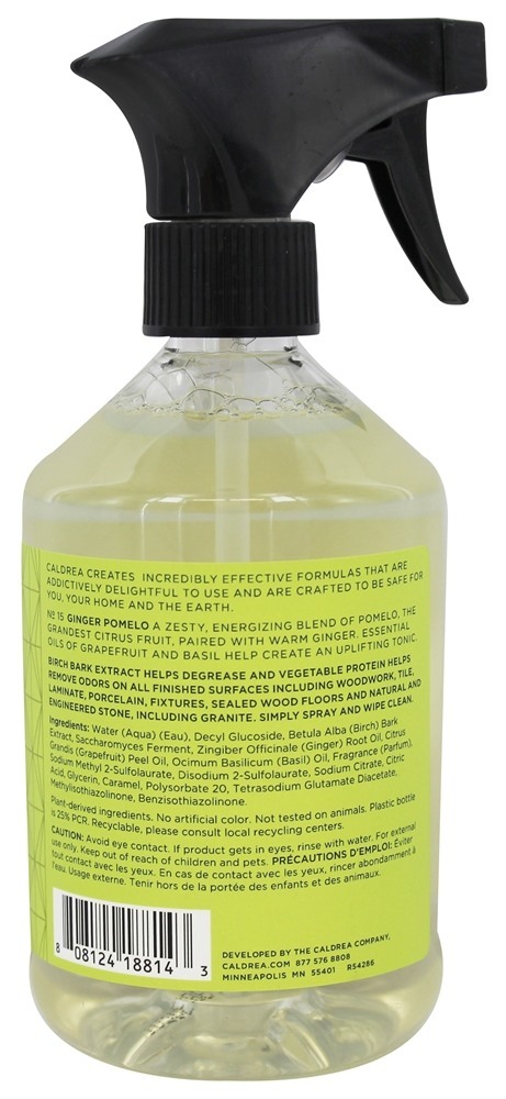 Comprar Spray de bancada - 16 fl. oz. Caldrea - Imagem 2