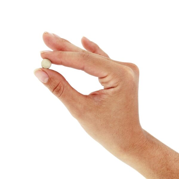 Comprar Zembrin 25 mg. - 60 Tablets Source Naturals - Imagem 5