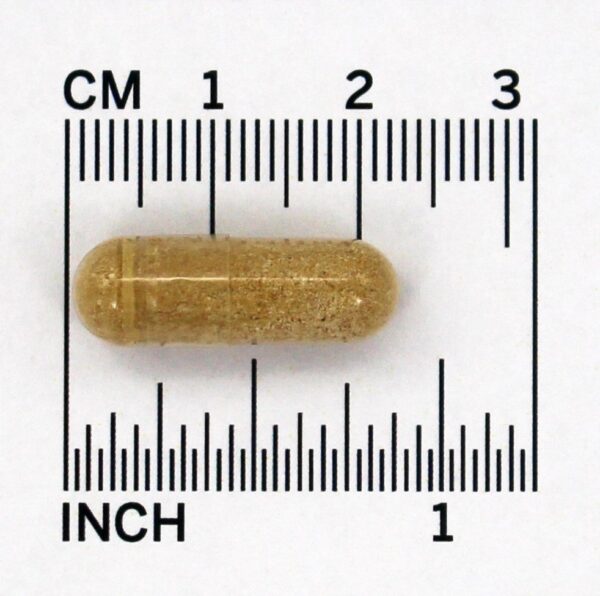 Comprar TestoJack 300 Fórmula de Suporte para Homens 300 mg. - Cápsulas vegetarianas 60 NOW Foods - Imagem 4