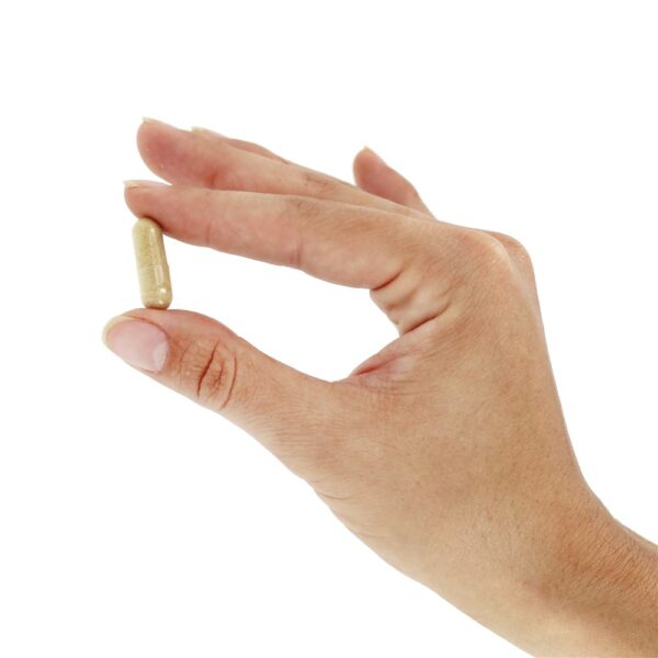 Comprar TestoJack 300 Fórmula de Suporte para Homens 300 mg. - Cápsulas vegetarianas 60 NOW Foods - Imagem 5