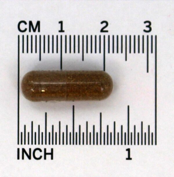 Comprar Saw Palmetto Pygeum - Cápsulas vegetarianas 90 Oregon's Wild Harvest - Imagem 4