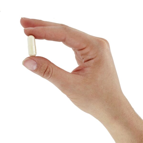 Comprar Dr. Formulated Probiótico Um Por Dia Ultra 90 Bilhões de UFC - Cápsulas vegetarianas 30 Garden of Life - Imagem 6