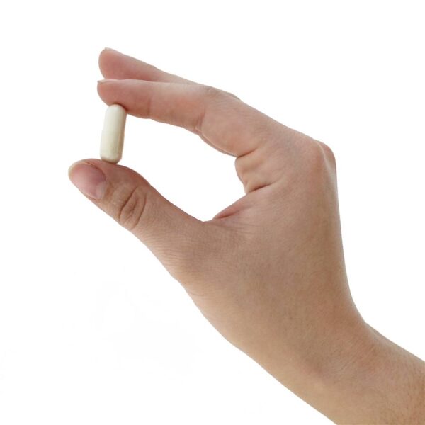 Comprar Dr. Formulated Probiótico para Homens Um Por Dia 50 Bilhões de UFC - Cápsulas vegetarianas 30 Garden of Life - Imagem 6