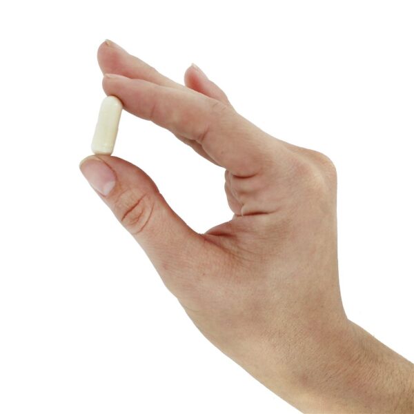 Comprar Dr. Formulated Probiótico para Mulheres Um Por Dia 50 Bilhões de UFC - Cápsulas vegetarianas 30 Garden of Life - Imagem 6