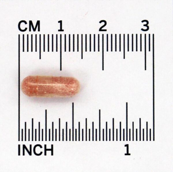 Comprar PQQ Pirroloquinolina Quinona 20 mg. - Cápsulas 60 Jarrow Formulas - Imagem 4