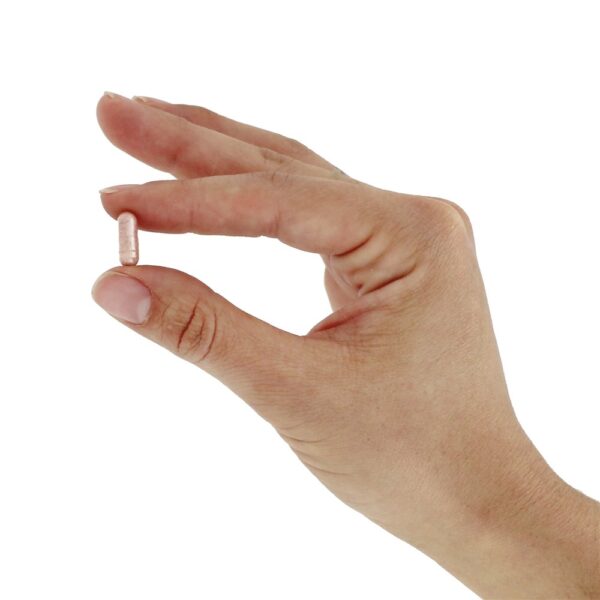 Comprar PQQ Pirroloquinolina Quinona 20 mg. - Cápsulas 60 Jarrow Formulas - Imagem 5