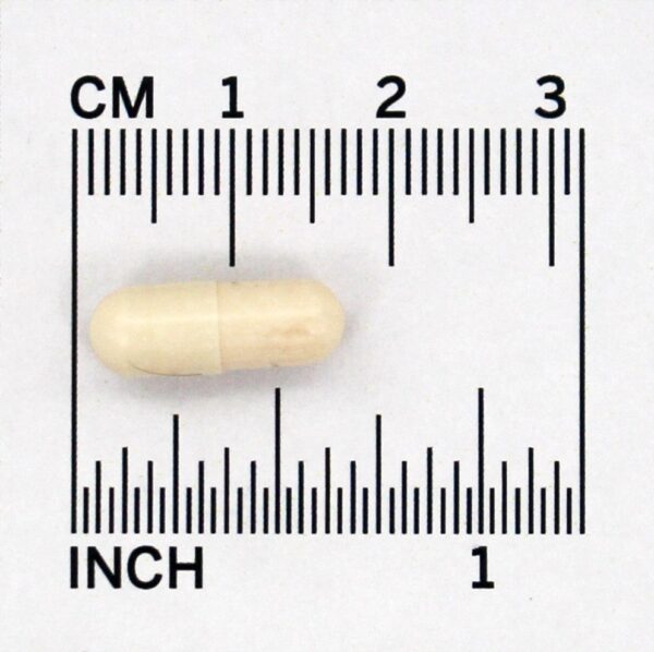 Comprar Fem-Dophilus Suplemento Probiótico Sem Refrigeração 1 Bilhão de UFC - Cápsulas vegetarianas 30 Jarrow Formulas - Imagem 5