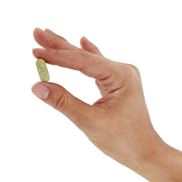 Comprar Extrato de melão amargo selvagem - 60 Tablets Jarrow Formulas - Imagem 5