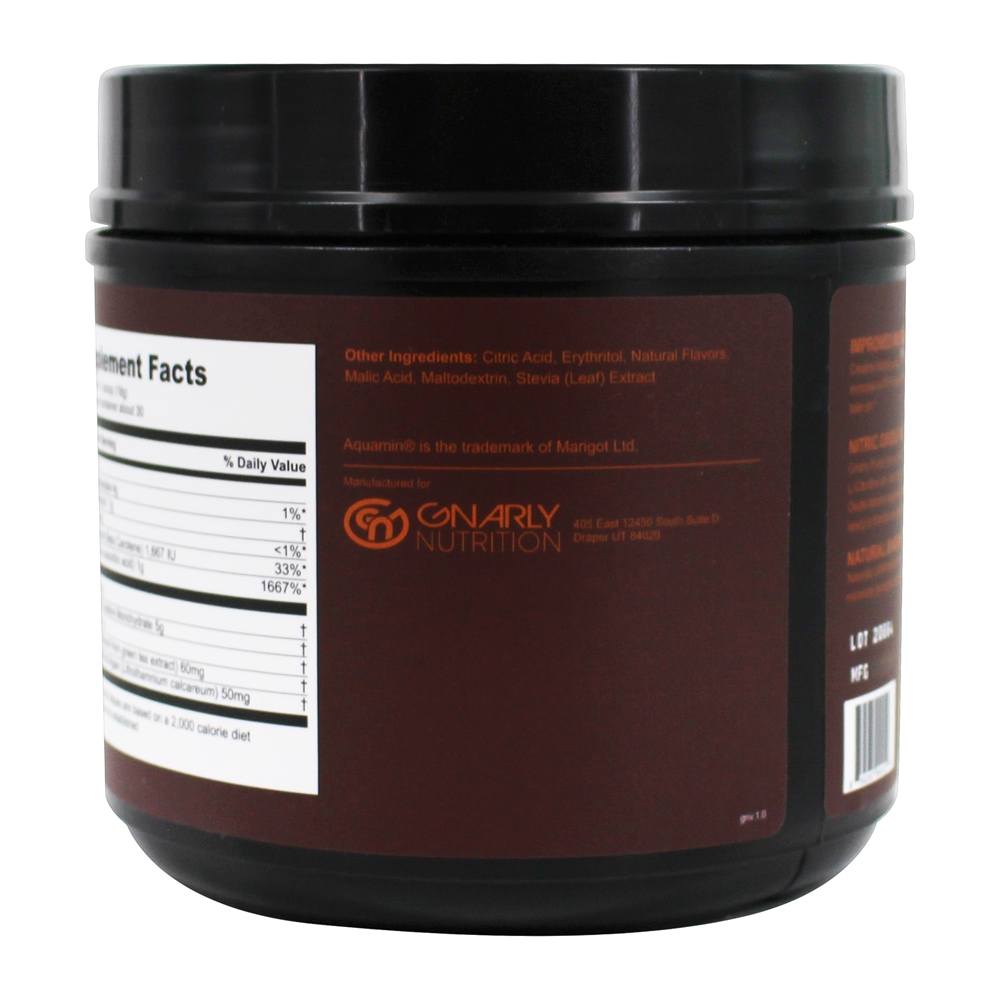 Comprar Pump Creatine & L-Arginine Suplemento Manga Laranja - 19 oz. Gnarly Nutrition - Imagem 3