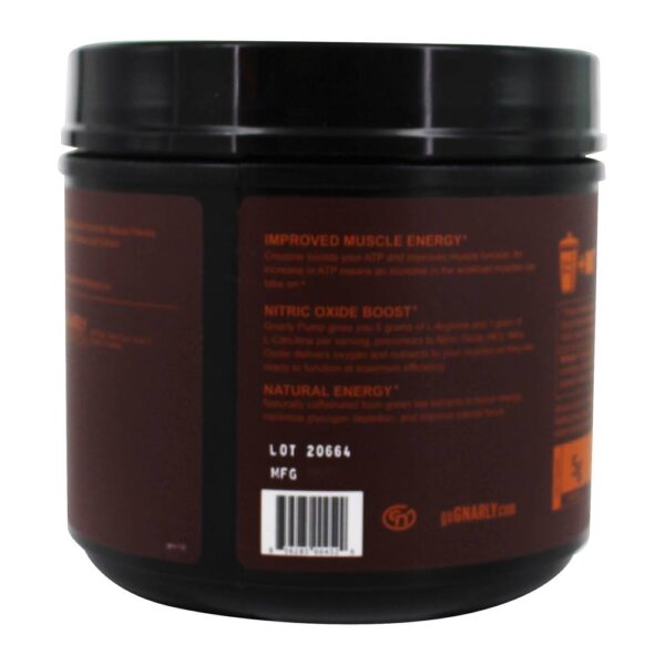 Comprar Pump Creatine & L-Arginine Suplemento Manga Laranja - 19 oz. Gnarly Nutrition - Imagem 4