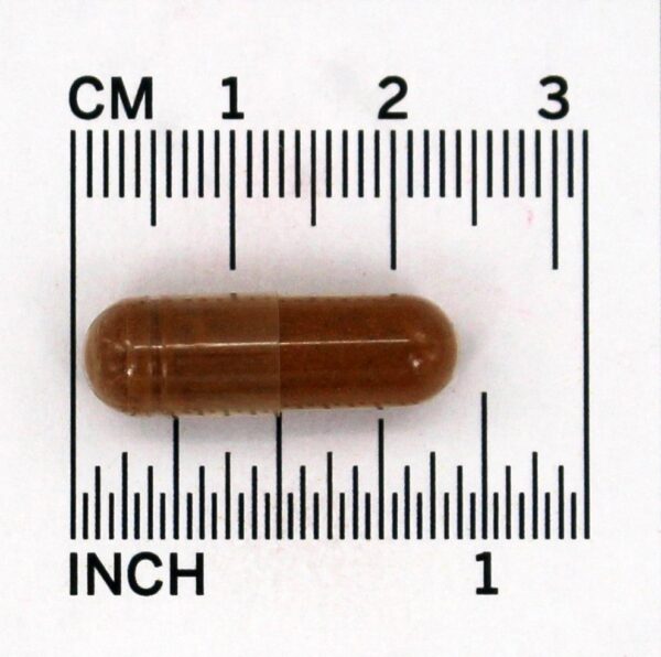 Comprar Suporte de Canela para o Metabolismo do Açúcar 1000 mg. - Cápsulas 100 Nature's Bounty - Imagem 4