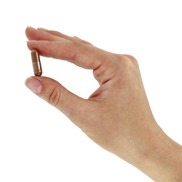 Comprar Suporte de Canela para o Metabolismo do Açúcar 1000 mg. - Cápsulas 100 Nature's Bounty - Imagem 5