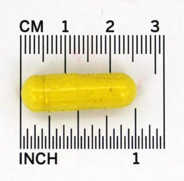 Comprar WellBetX Berberina 500 mg. - Cápsulas vegetarianas 60 Natural Factors - Imagem 4