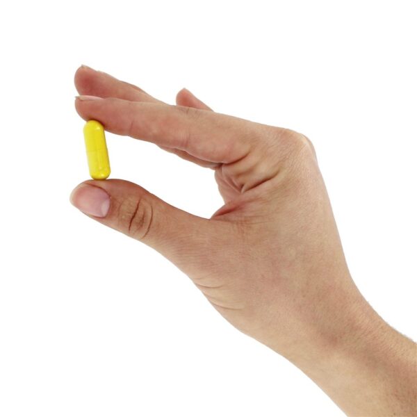 Comprar WellBetX Berberina 500 mg. - Cápsulas vegetarianas 60 Natural Factors - Imagem 5