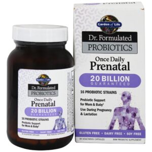 Comprar Dr. Probióticos Formulados Uma vez por Dia Pré-Natal 20 Bilhões de UFC - Cápsulas vegetarianas 30 Garden of Life