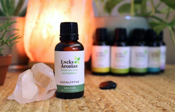 Comprar Óleo Essencial de Eucalipto 100% Pure - 1 fl. oz. LuckyAromas - Imagem 5
