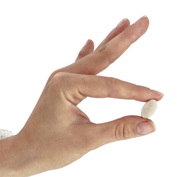 Comprar Guarda GI AM - 60 Tablets Protocol For Life Balance - Imagem 5