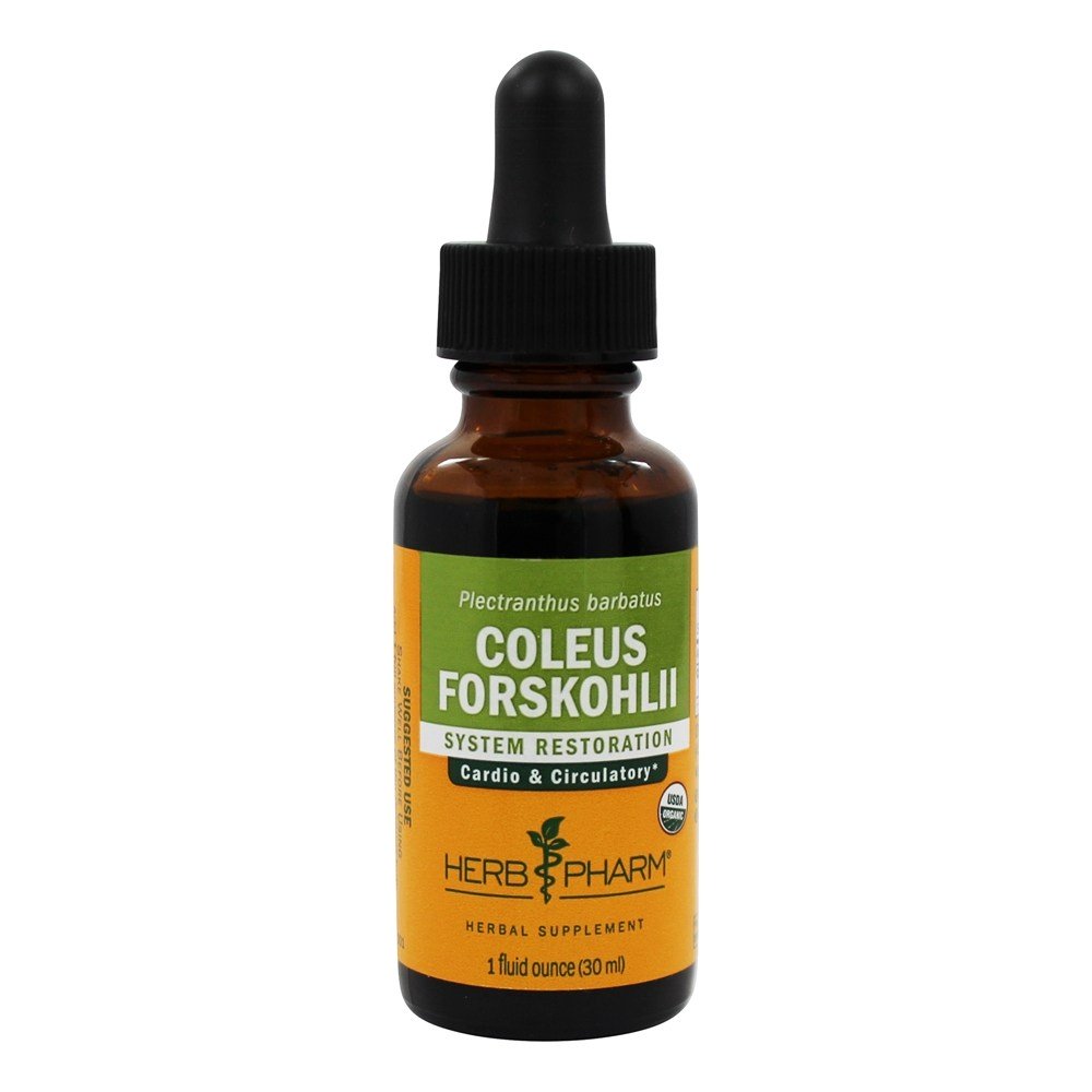 Comprar Extracto Líquido Coleus Forskohlii para Restauração Cardio e Sistema Circulatório - 1 fl. oz. Herb Pharm