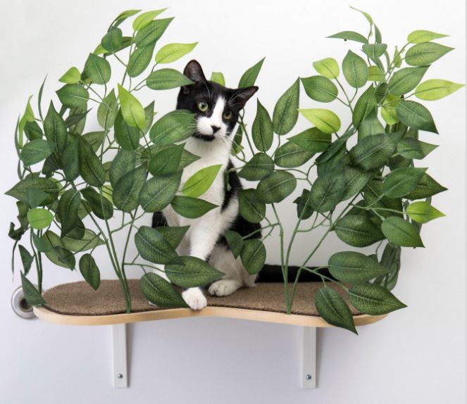 Comprar Dossel Gato Prateleiras Branco - 2 On2Pets - Imagem 2