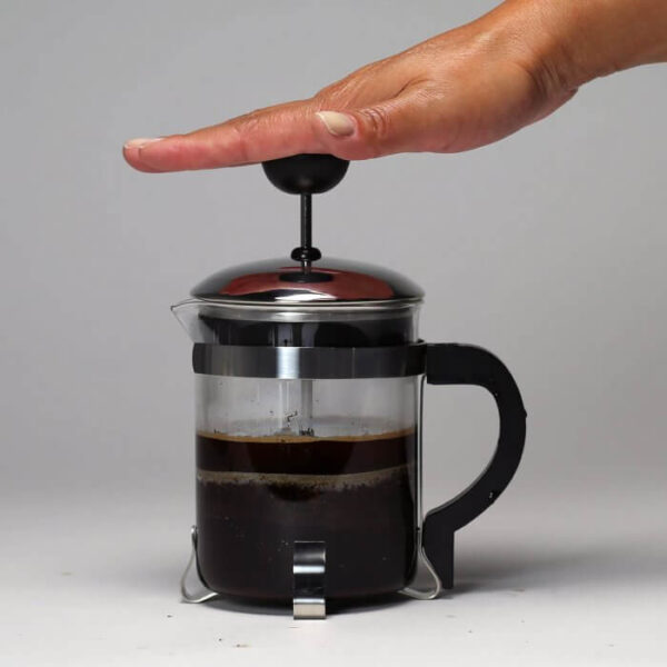 Comprar Imprensa clássica do café de Primula PCP-6404 - 4 Taça (s) Ecolution - Imagem 5