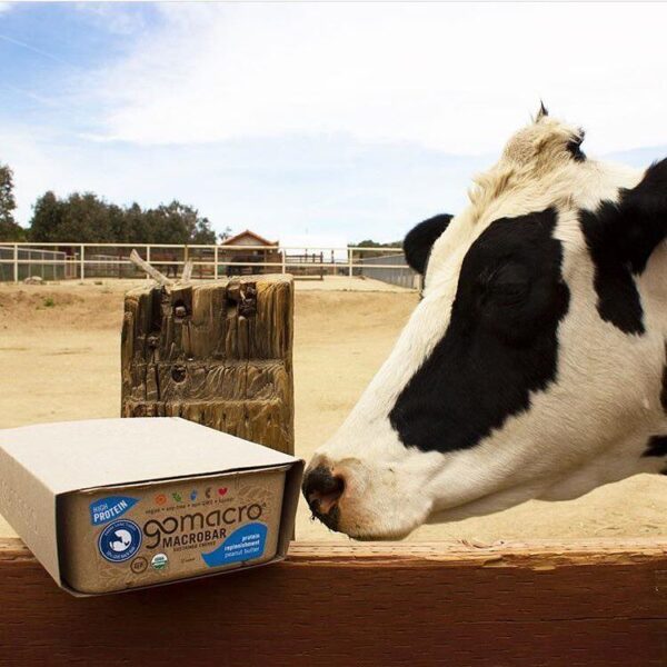 Comprar Organic MacroBar Box Blissful Amanhecer Mirtilo + Caju - 12 Barras GoMacro - Imagem 8