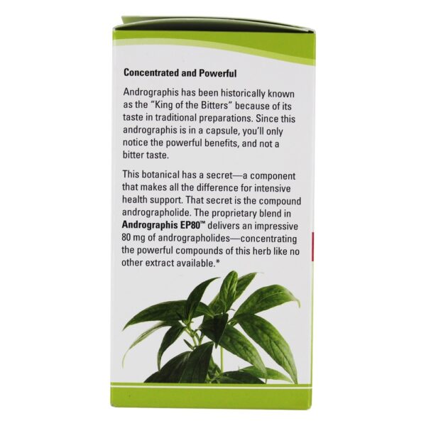 Comprar Terry naturalmente Andrographis EP80 extrair a fórmula de força - Cápsulas 60 EuroPharma - Imagem 5