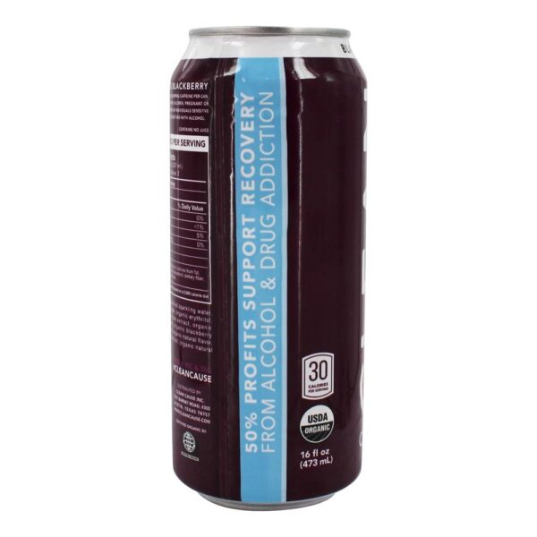 Comprar Yerba Mate Espumante Blackberry - 16 fl. oz. Clean Cause - Imagem 4